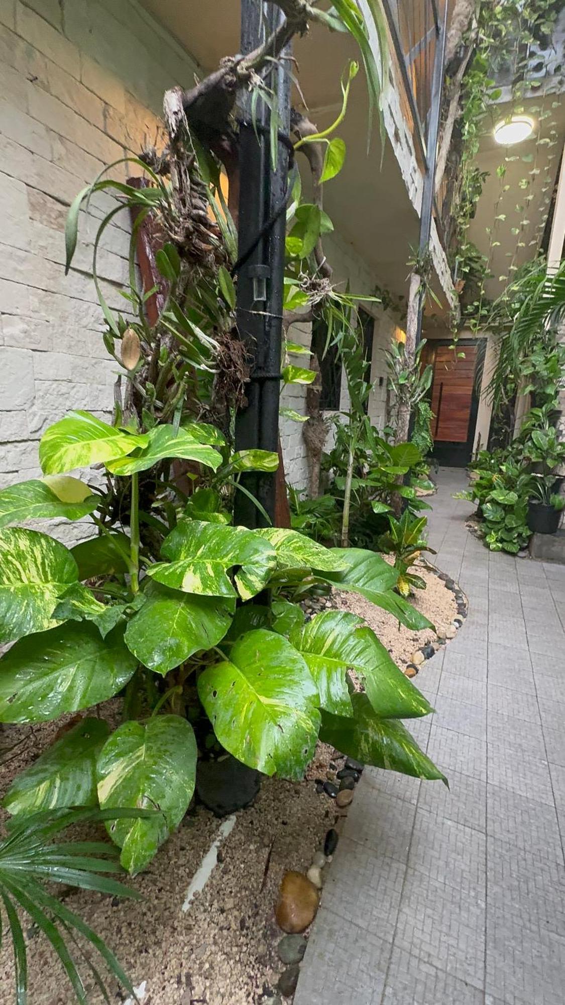 Estudio Centrico Apartment *